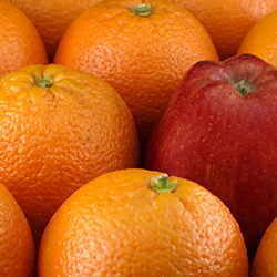 Grand Pointe Auto, A very different auto repair company